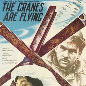 Foto Cuando pasan las cigüeñas