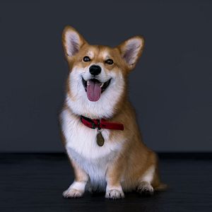 Foto Cowboy Bebop (2021)