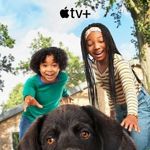 Foto Cachorritos: Buscando un hogar