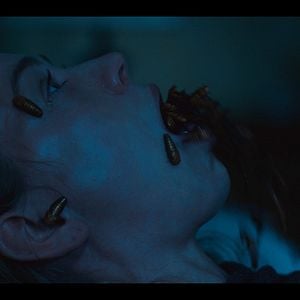 Foto Libros de sangre