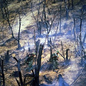 Foto Corazones de Hierro