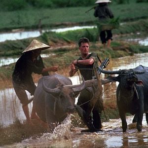 Foto Corazones de Hierro