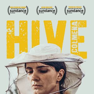 Foto Hive (Colmena)