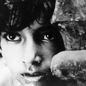 Foto Pather Panchali (La canción del camino)