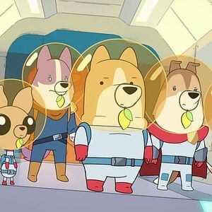 Foto Perros espaciales