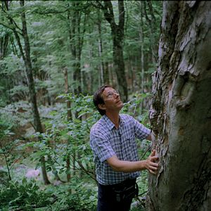 Foto En busca del violín perfecto