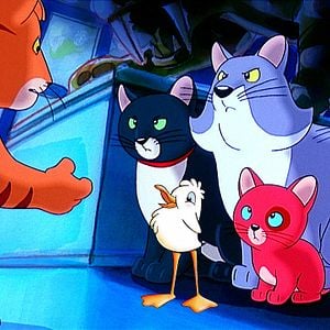 Foto Historia de una gaviota (y del gato que le enseñó a volar)