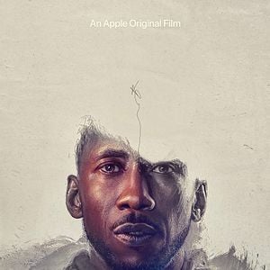 Foto El canto del cisne