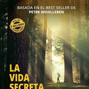 Foto La vida secreta de los árboles