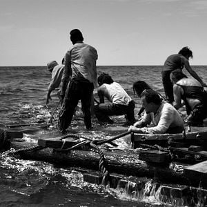 Foto El vientre del mar