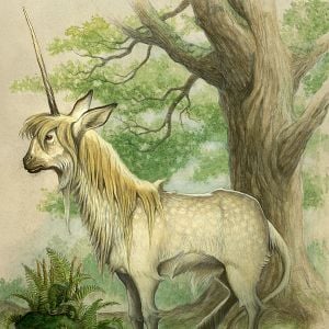 Foto The Spiderwick Chronicles