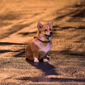 Foto Cowboy Bebop (2021)