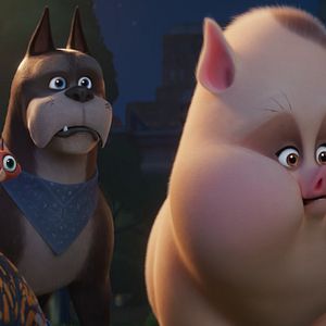 Foto DC Liga de Supermascotas