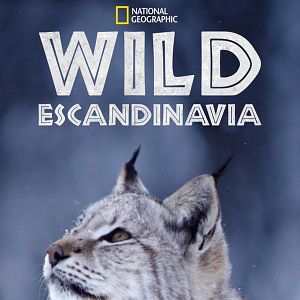 Foto Wild Escandinavia