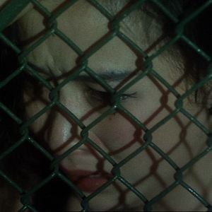 Foto Days of Being Wild (Días Salvajes)