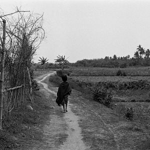 Foto Pather Panchali (La canción del camino)
