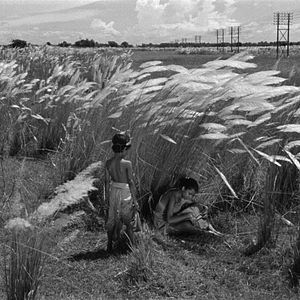 Foto Pather Panchali (La canción del camino)