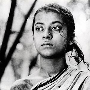 Foto Pather Panchali (La canción del camino)