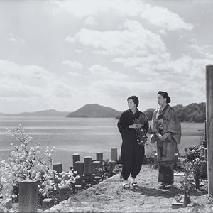 Foto Vingt-quatre prunelles