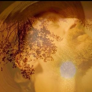 Foto Los girasoles de Van Gogh