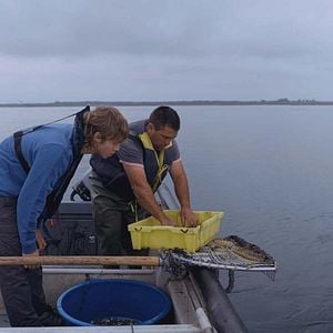 Foto Chef sin desperdicio