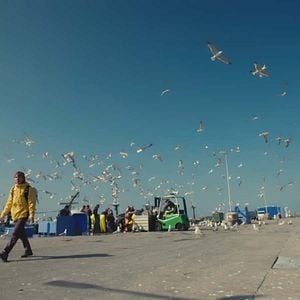 Foto Chef sin desperdicio