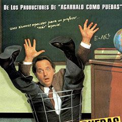 Foto Aprende como puedas