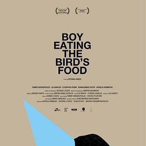 Foto Boy Eating the Bird's Food