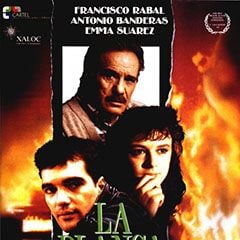 Foto La blanca paloma