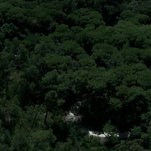 Foto Tierra de nadie