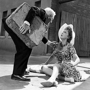 Foto El mundo está loco, loco, loco