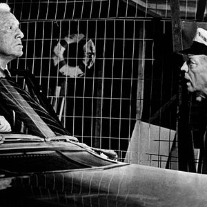 Foto El mundo está loco, loco, loco