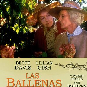 Foto Las ballenas de agosto