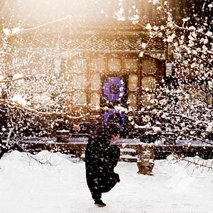 Foto The Grandmaster