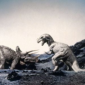 Foto Hace un millón de años