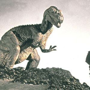 Foto Hace un millón de años