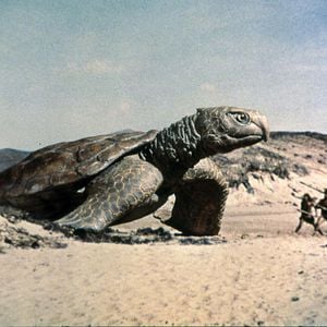 Foto Hace un millón de años