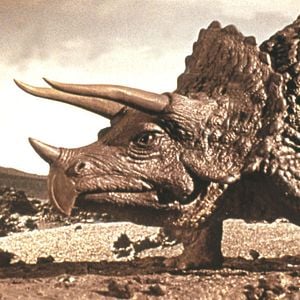 Foto Hace un millón de años