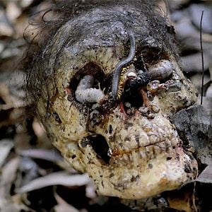 Foto Holocausto caníbal