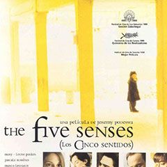 Foto The Five Senses (Los Cinco Sentidos)