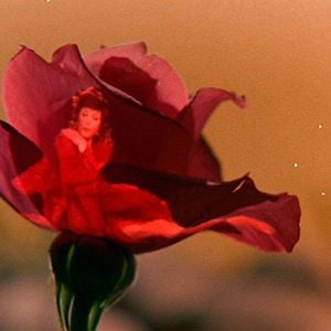 Foto El pequeño príncipe