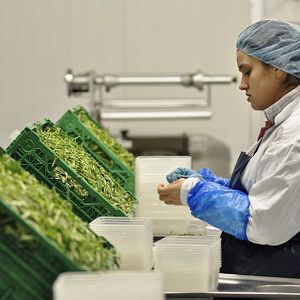 Foto Come duerme muere