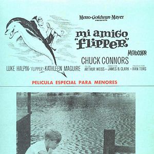 Foto Mi amigo Flipper