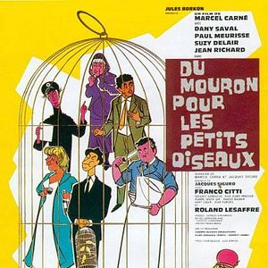 Foto Du mouron pour les petits oiseaux