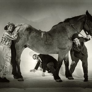 Foto Un día en las carreras