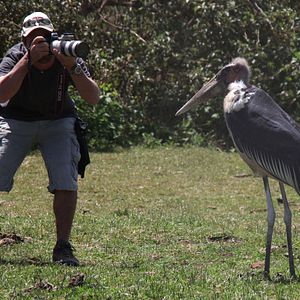 Foto African Safari 3D