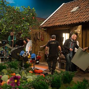 Foto Pettersson und Findus - Kleiner Quälgeist, große Freundschaft