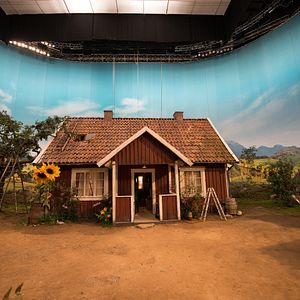 Foto Pettersson und Findus - Kleiner Quälgeist, große Freundschaft