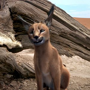 Foto Viaje mágico a África