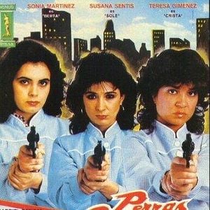 Foto Perras callejeras